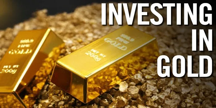 InvestVVIP cookies
